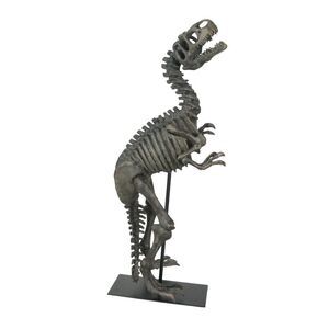 Resin Tyrannosaurus Rex Fossil Bones Home Decor Dinosaur Skeleton Sculpture Art